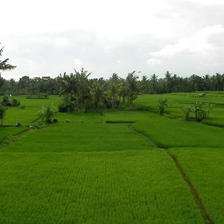 Green Field Hotel And Bungalow Ubud Eksteriør bilde