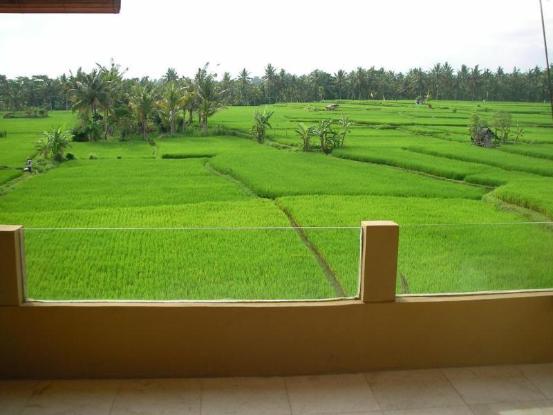 Green Field Hotel And Bungalow Ubud Eksteriør bilde