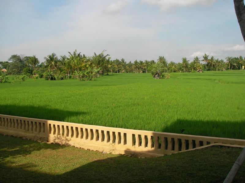 Green Field Hotel And Bungalow Ubud Eksteriør bilde