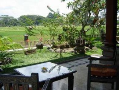 Green Field Hotel And Bungalow Ubud Eksteriør bilde